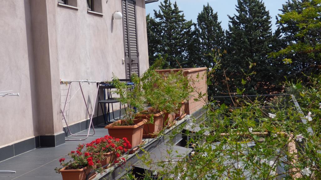 Etna Holiday Home Nicolosi Exterior foto